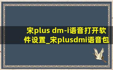 宋plus dm-i语音打开软件设置_宋plusdmi语音包怎么设置